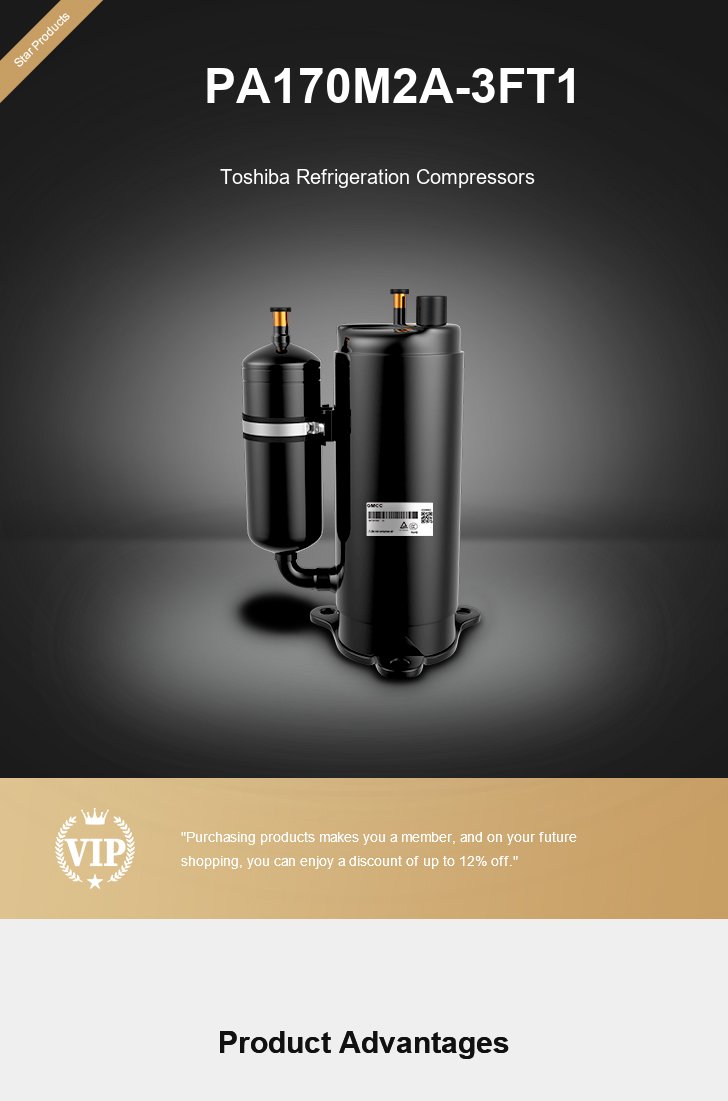 Toshiba Compressor PA170M2A-3FT1, technical parameters pdf, structure diagram